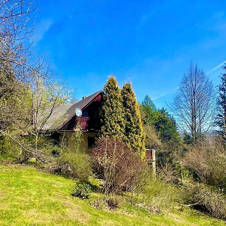 Dom Na Jezynowym Wzgorzu - Blackberry Hill Cottage Radziechowy Exteriör bild